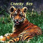 cheekyboy.jpg (7941 bytes)