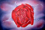 beautiful_illusion.jpg (8133 bytes)