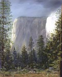 El Capitan
Oils on Board, 14"x18"- Original and  S/N Giclees available for sale @ Moments-of-Life.com