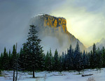 Yosemite Winter