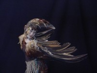 Highlight for Album: The Gentle Whisper Collection